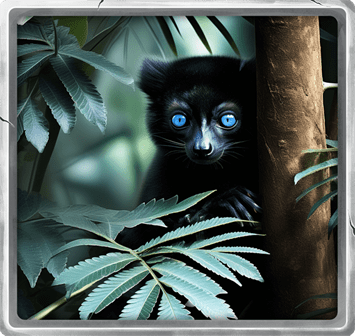 Blue-Eyed-Black Lemur